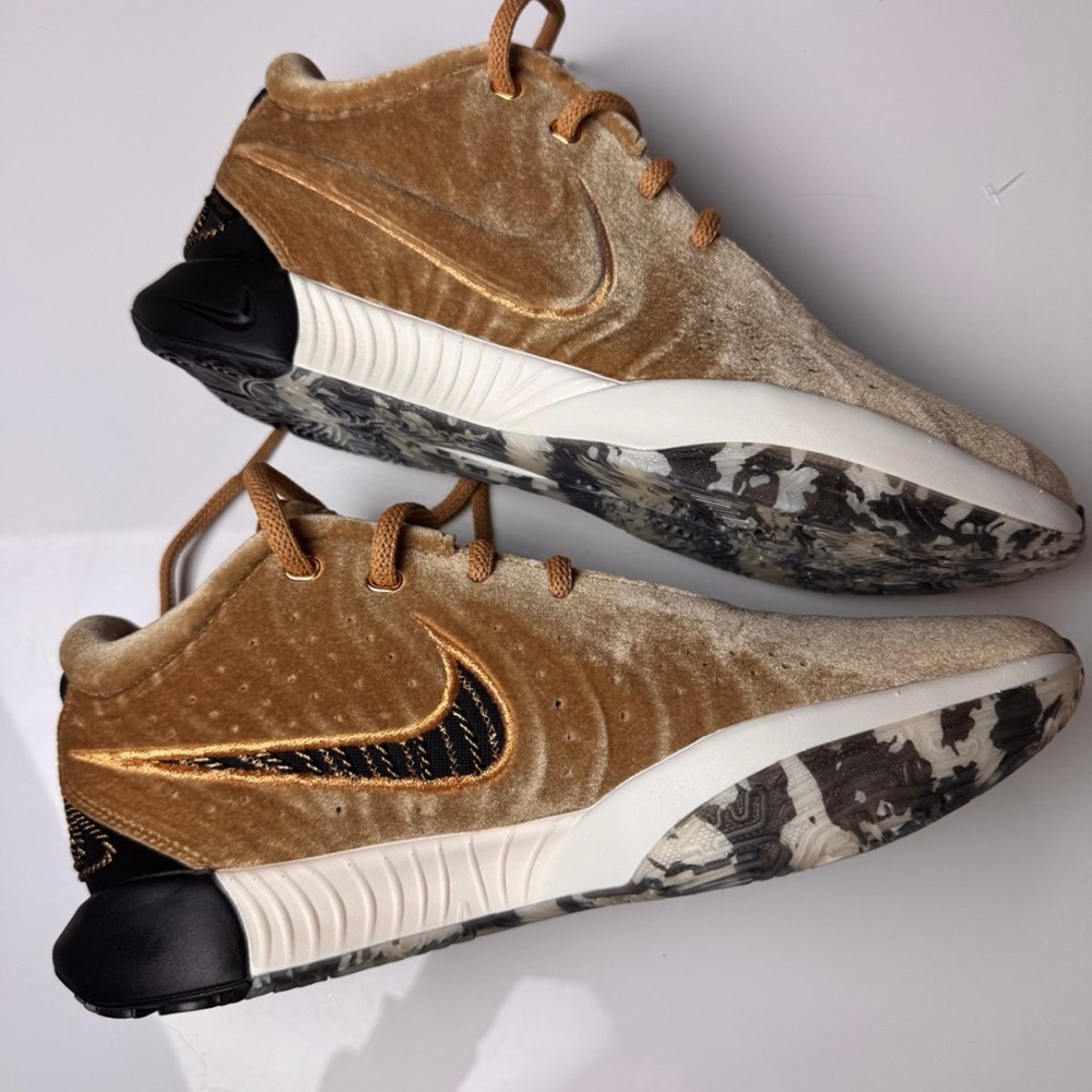 Nike LeBron 21 Nobility RARE